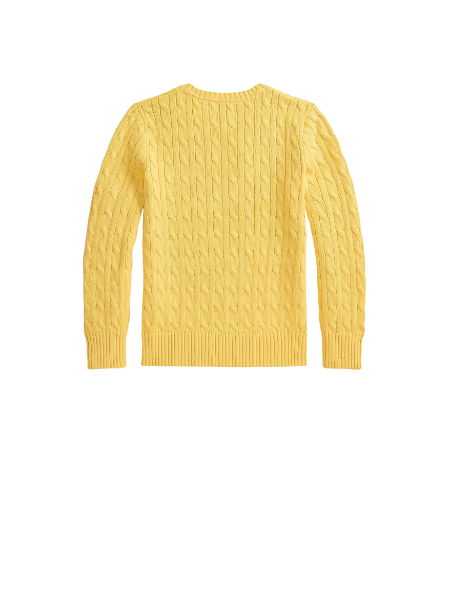 Ralph Lauren Kids 7-14 sweater with embroidery