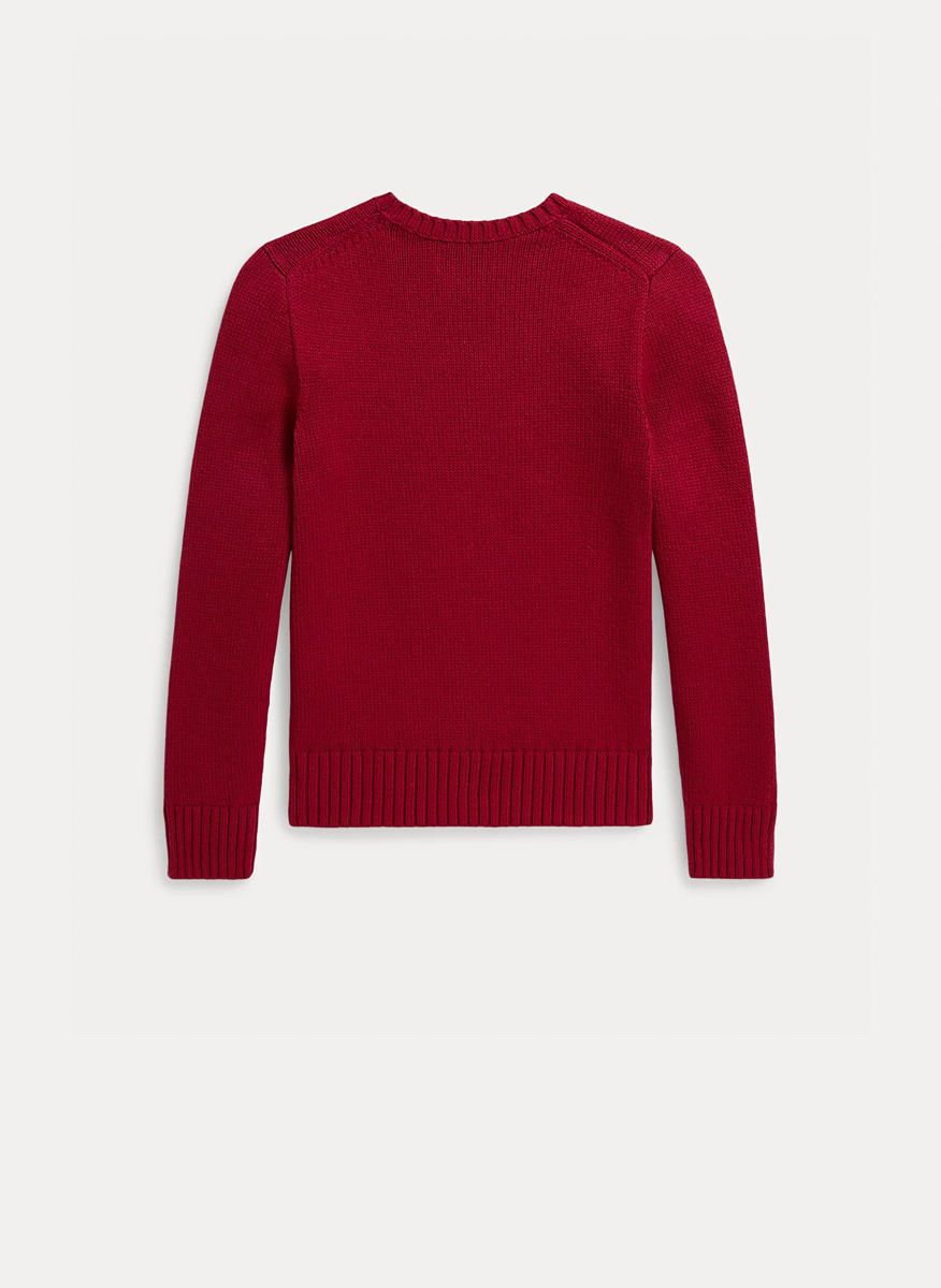 Ralph Lauren Kids 7-14 sweaters with print5
