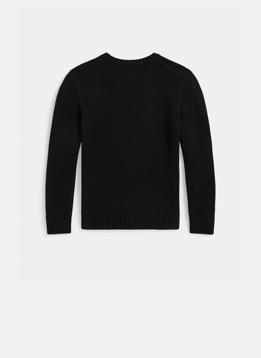 Ralph Lauren Kids 6-14 sweaters with print5