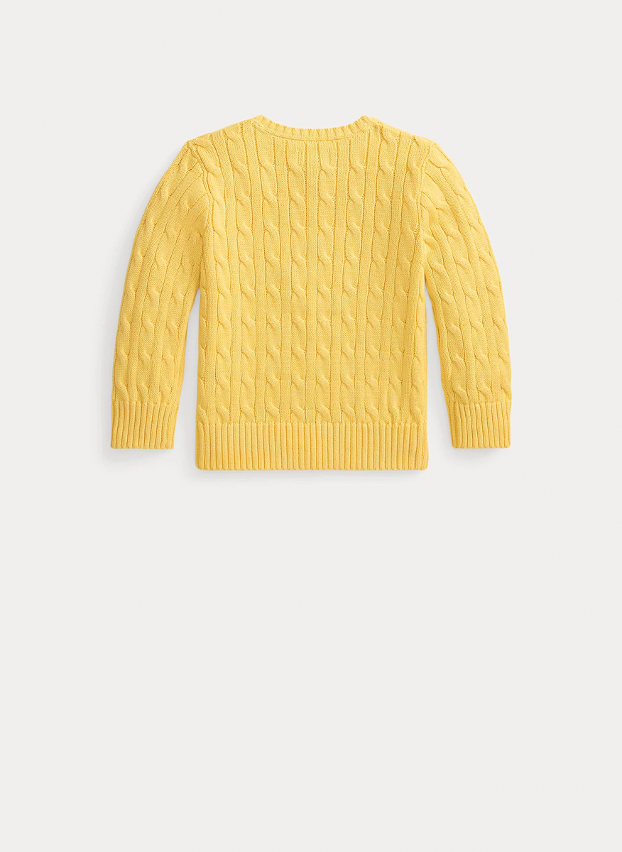 Ralph Lauren Kids 2-7 sweater with embroidery