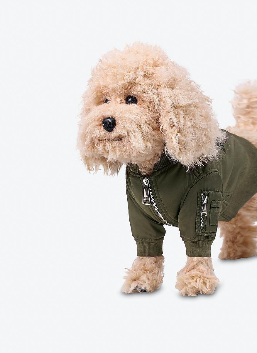 Яке 'Bomber' Moschino Couture Pets