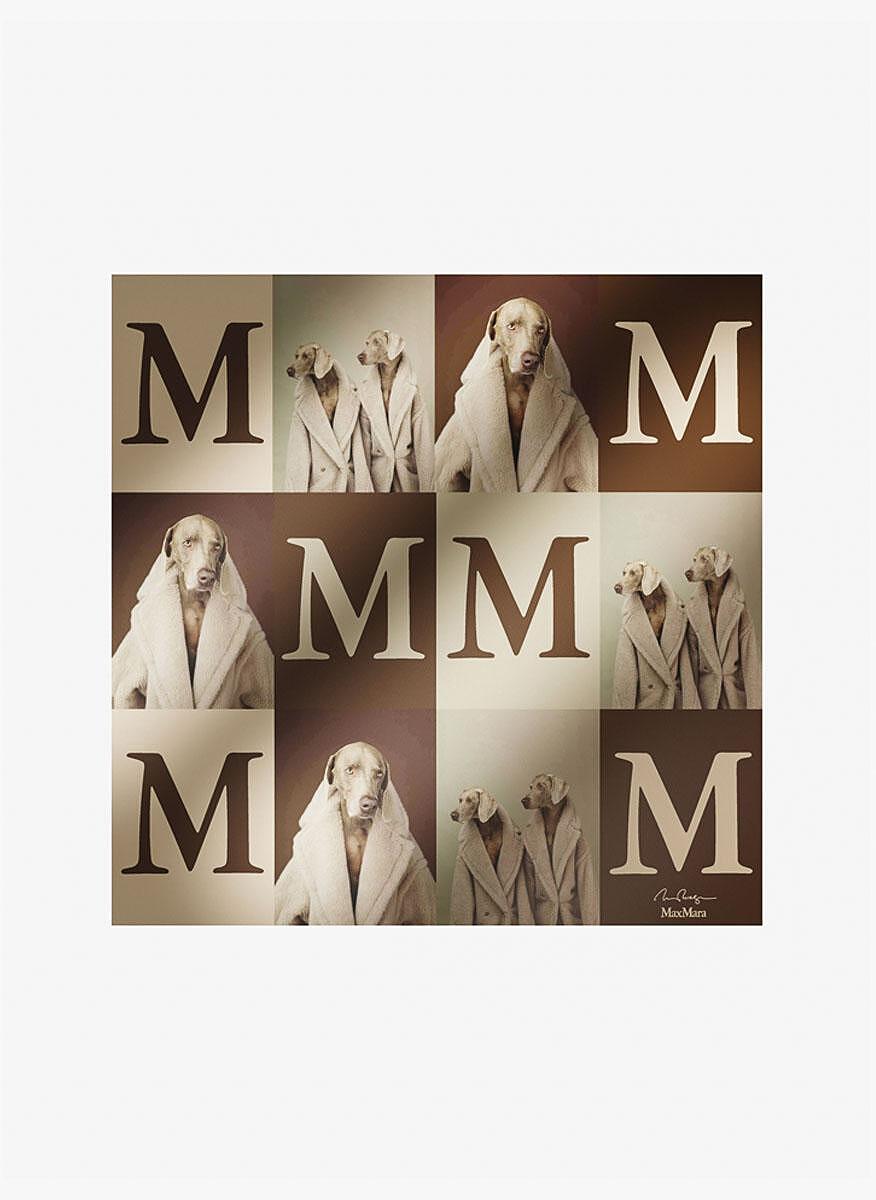 Шал от коприна Max Mara Carreteddydog