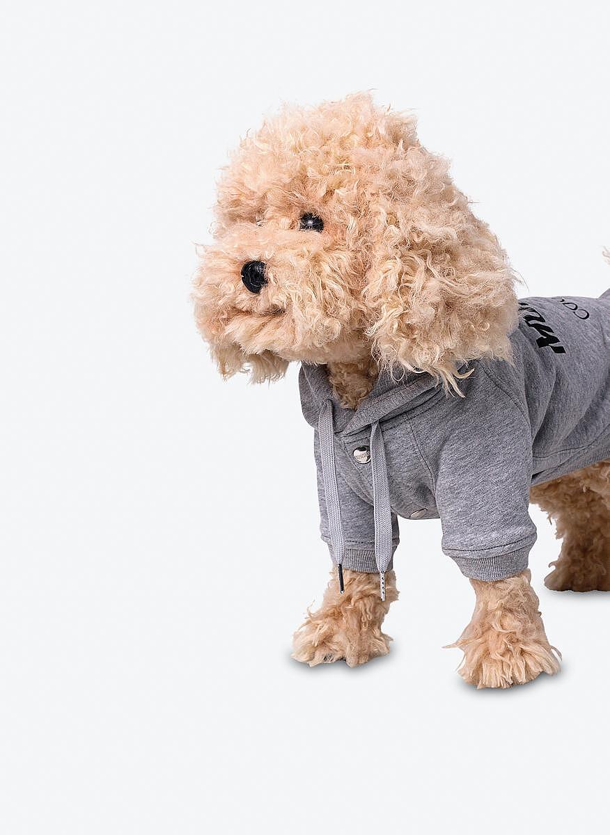 Суитшърт Moschino Couture Pets